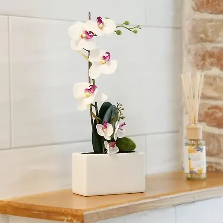 Monfrina 2, Stylish Old Town Near 아파트